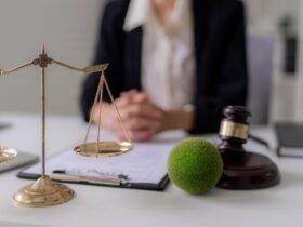 Apa Itu Regulasi Pengertian, Fungsi, Jenis, dan Dampaknya dalam Kehidupan Modern