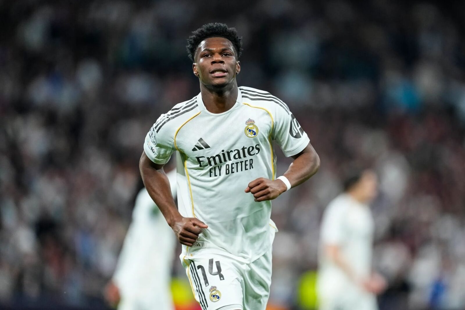 Mengenal Tchouameni Profil dan Karir Bintang Real Madrid