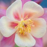 Alat Kelamin Jantan Pada Bunga Adalah Benang Sari: Struktur, Fungsi, dan Proses Penyerbukan