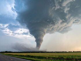 Angin Tornado: Penyebab, Ciri-Ciri, dan Cara Menghadapi Fenomena Alam Ekstrem