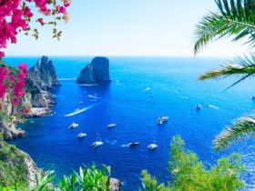 Islandia Salah Satu Negara Teraman di Dunia: Fakta, Alasan, dan Kehidupan di Negeri Es