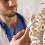 Mengapa Tulang Disebut Alat Gerak Pasif? Penjelasan Lengkap dan Mudah Dipahami