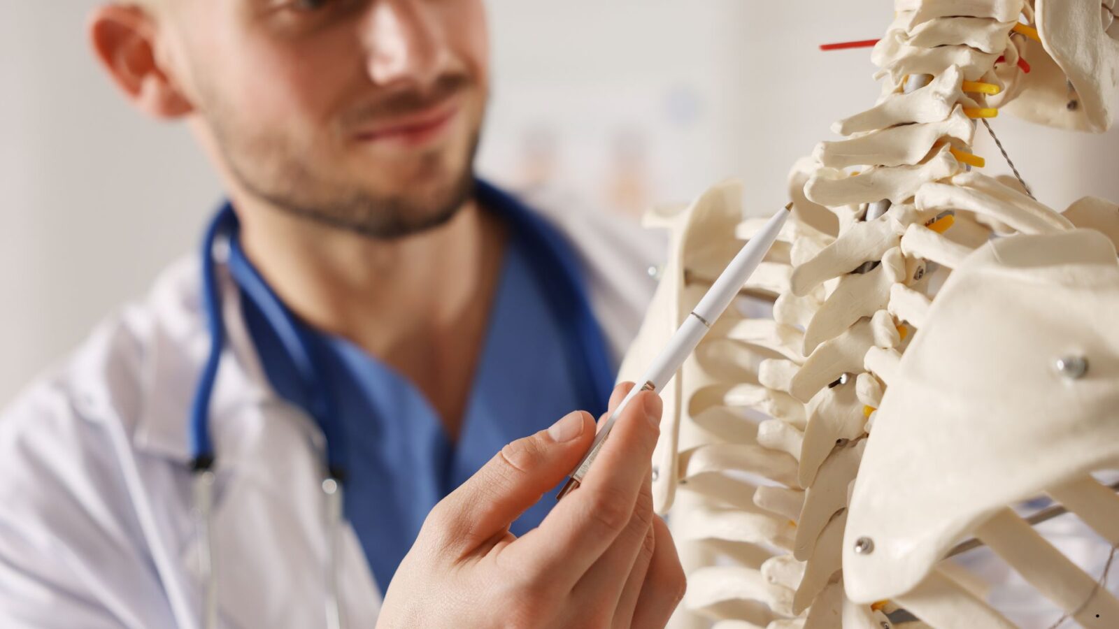 Mengapa Tulang Disebut Alat Gerak Pasif? Penjelasan Lengkap dan Mudah Dipahami