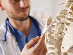 Mengapa Tulang Disebut Alat Gerak Pasif? Penjelasan Lengkap dan Mudah Dipahami