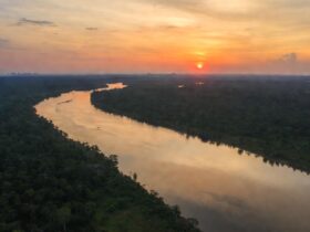 Sungai Terbesar di Dunia Beserta Fakta Menarik yang Jarang Diketahui